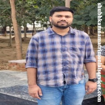 Software Professional 